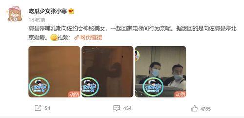 张小寒爆料预告视频,揭秘娱乐圈不为人知的秘密